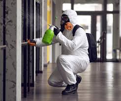 Why You Should Choose Our Mold Remediation Services in Munford, TN